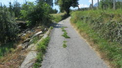 foto escursione
